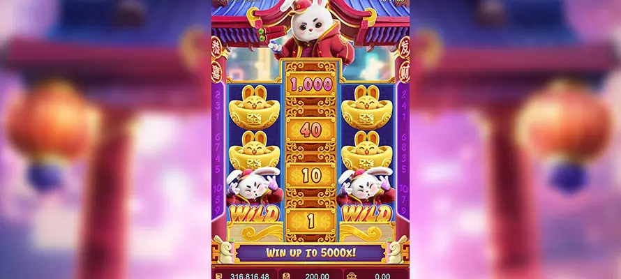 fortune rabbit features